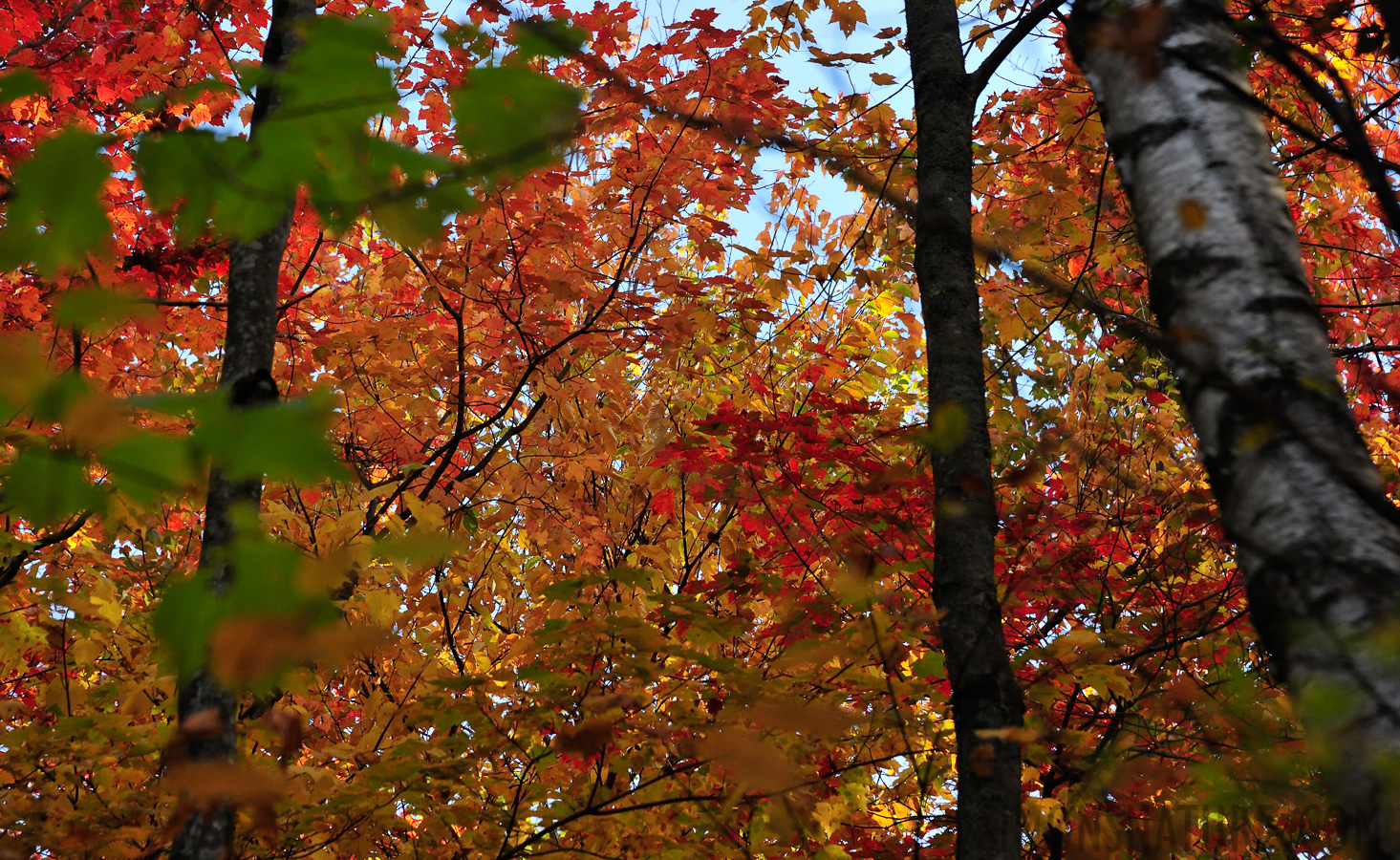 Jericho Mountain State Park [180 mm, 1/640 Sek. bei f / 8.0, ISO 1600]